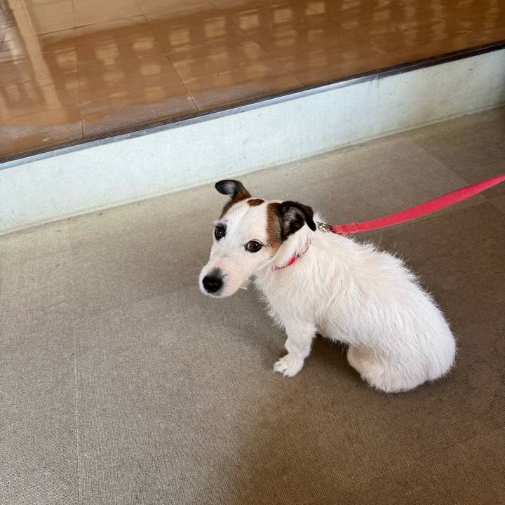 D6be0a0f d814 46b7 8578 9daa33eeb04f 1771125600301