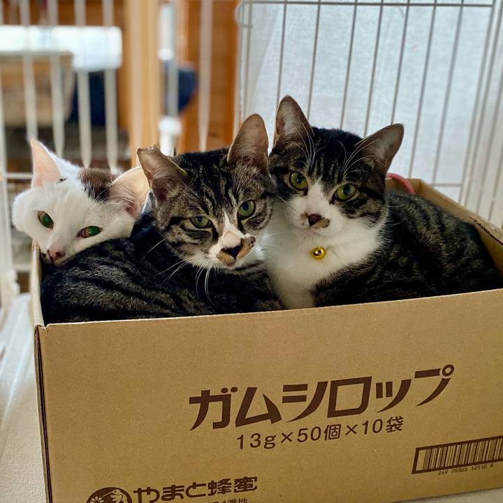 D6be32f4 b152 4fff 9e69 940b59407084 1705796380700