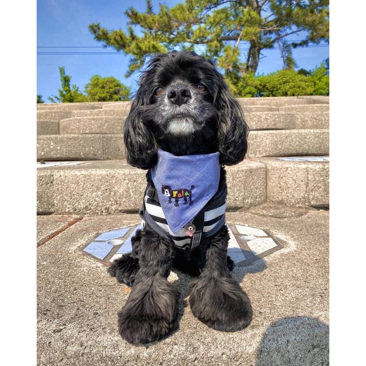 D6be9b01 8eed 4016 be1b 4bc4114bc23b 1652005130142