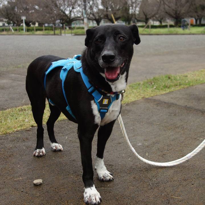 D6bebba0 b6ca 4680 b744 64f3e0cd8a18 1635295033004