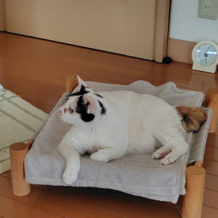 D6bee5bc 3ce7 4902 9514 4c8568ccbf79 1768002554890