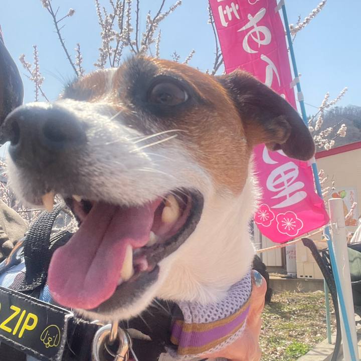 D6bf1d67 7e01 4512 b94a 910825d9d031 1743860067428