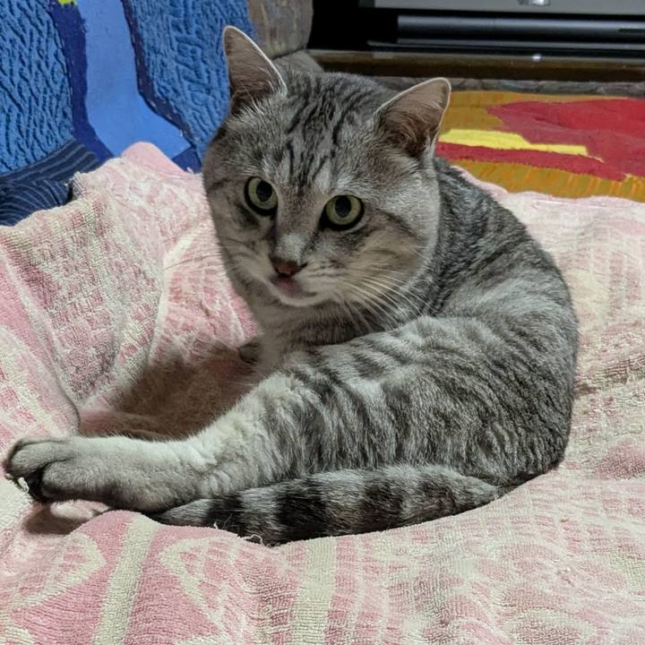 D6bf2287 ed4b 4337 a396 fc529d79cb43 1744973357251