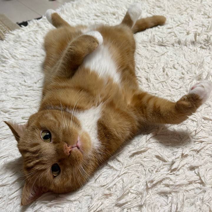 D6bf99d5 9720 4f52 b6a4 c68c3df86248 1657548322536