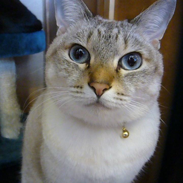 D6bfa2df 5670 4998 bda9 03f61ab3fef3 1620083856493