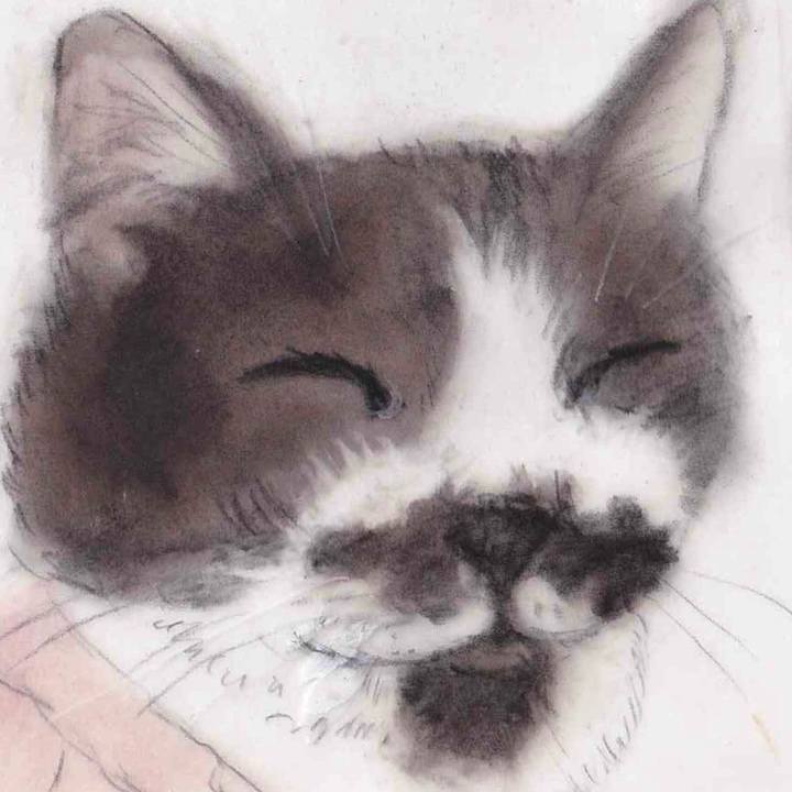 D6bfa8c0 c5f9 41f7 92ec d506f7afca79 1656314906529