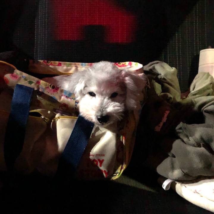 D6bfbdae 95b9 40d3 a4d3 3e932e8e07bd 1634479276749