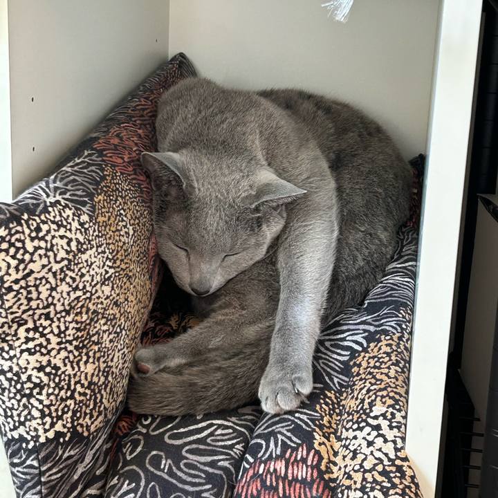 D6bfc463 efc7 45f5 b415 eb8bc9892d44 1737868131084