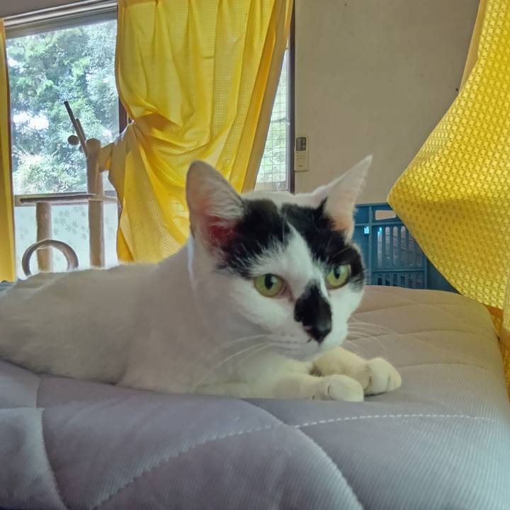 D6bfcfeb 4471 44f6 b276 c2e1d64c3eb7 1757477869770