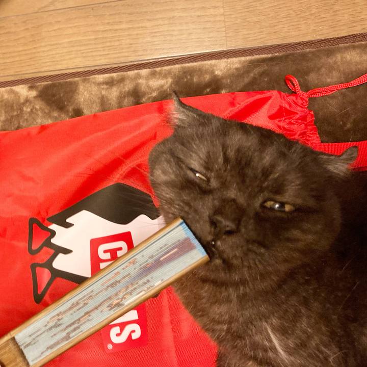 D6bfee55 b4d9 40db a963 3065d61e6a00 1591705661555