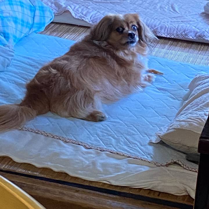 D6bffa58 6255 4003 8722 ae669c0345be 1626211522653