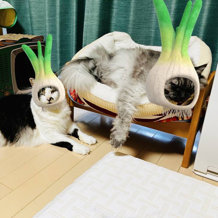 D6c01e43 b1ee 405f a4a0 4b15f0db8012 1754702082331