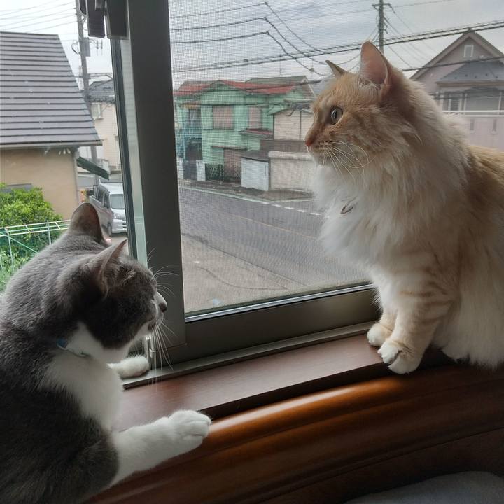 D6c054e0 30e5 48aa aad6 d1abd769e4b7 1651880105101