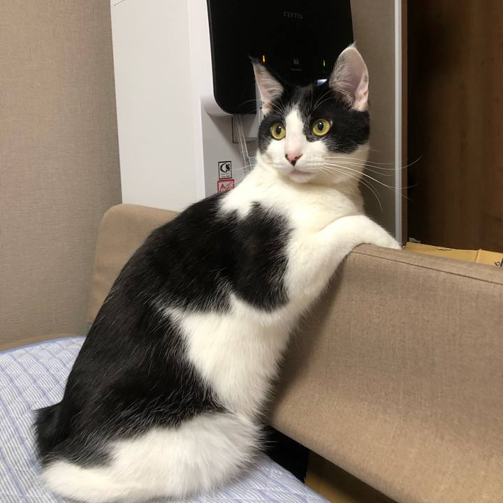 D6c092ac 5138 4361 8eb6 6b1a7dc4073d 1630940538294