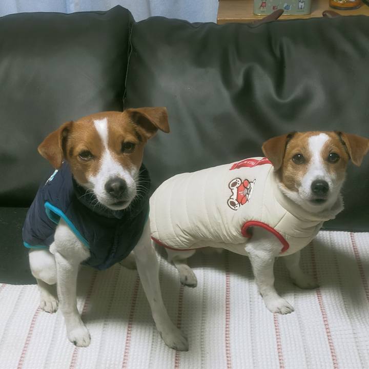 D6c0cdc6 ded9 454e 9d9e ffa79cc9a5de 1770021763278