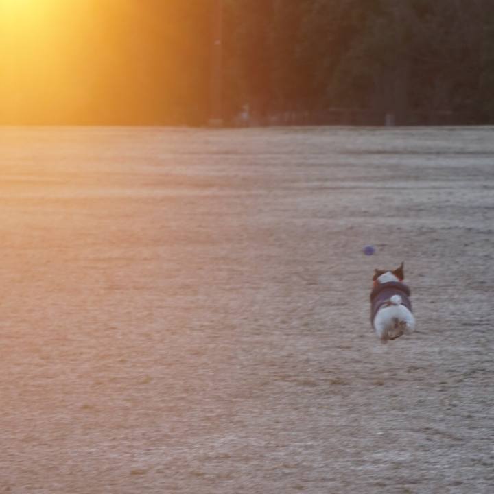 D6c0ebbd 9eb1 471b b50b 3d19786c2569 1612998705042