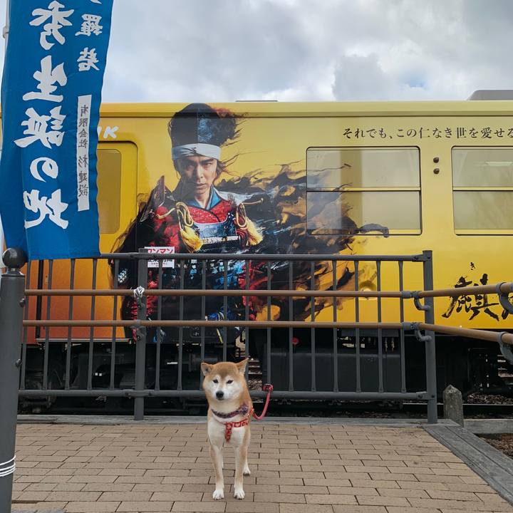 D6c11389 c81c 4d57 90aa c9fe87ea224f 1579086869768