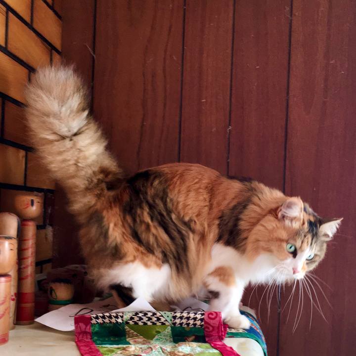 D6c116c1 7973 4a0f b078 b8323877dc63 1611874250724