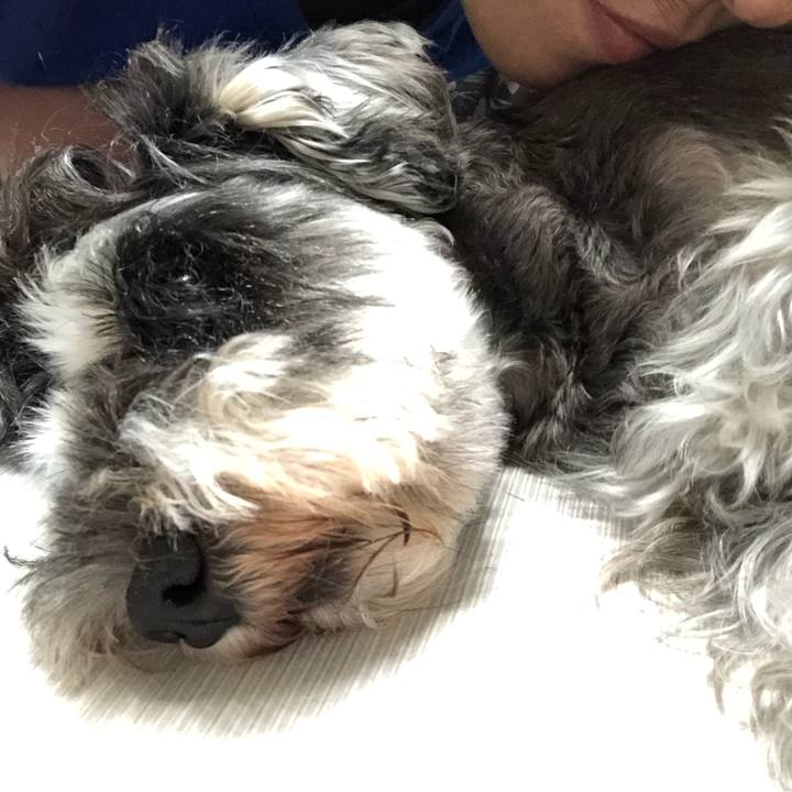 D6c1184e 1231 4138 9b3b 62224b6dc1cc 1569587206137