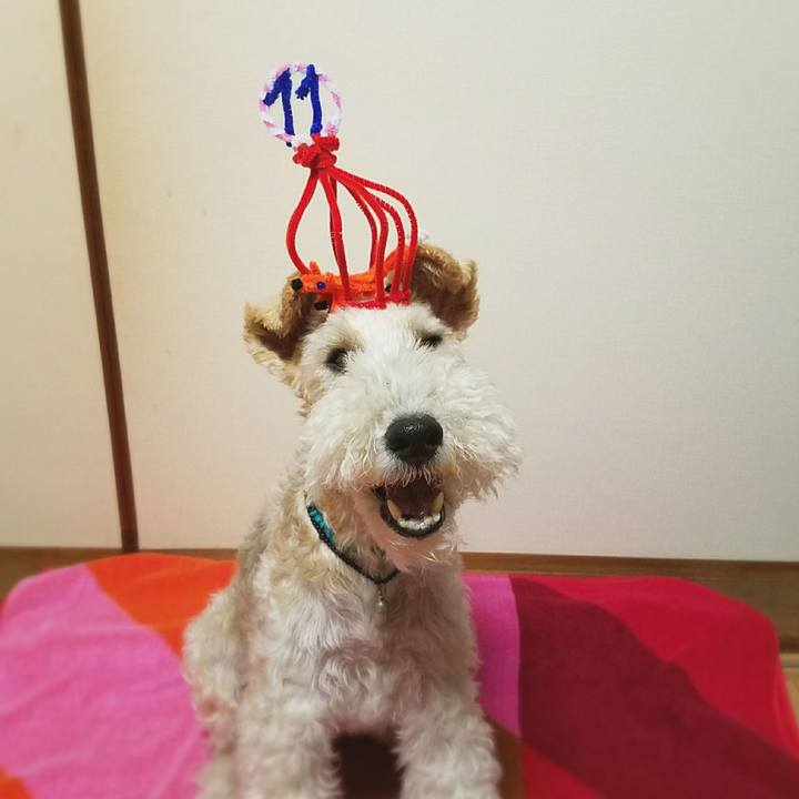 D6c14761 e1c9 46f9 a6a4 a061b41f8f51 1532741071252