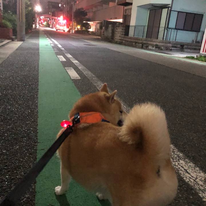 D6c15b90 f3cb 42c9 8440 82a915155f72 1594297282080