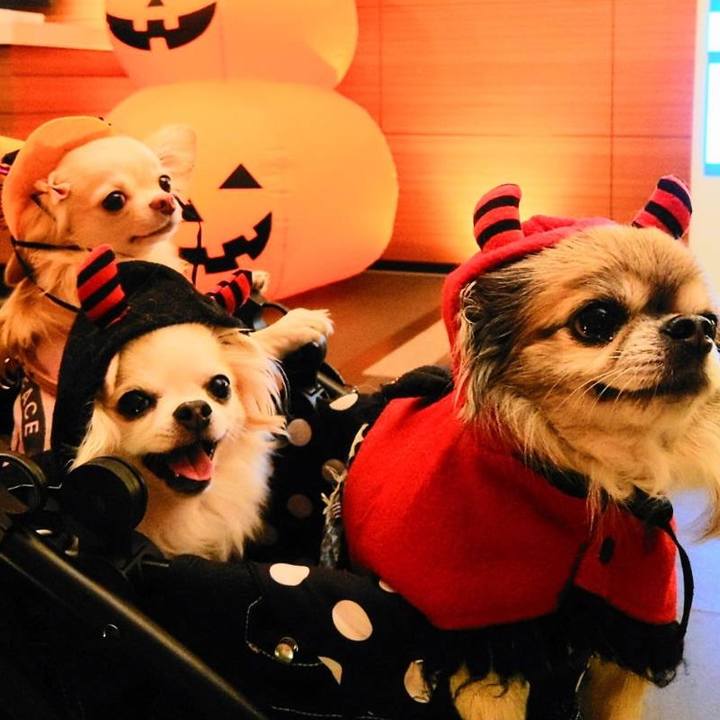 D6c1624c 53b7 444b a4d6 a971e62bad45 1666765398075