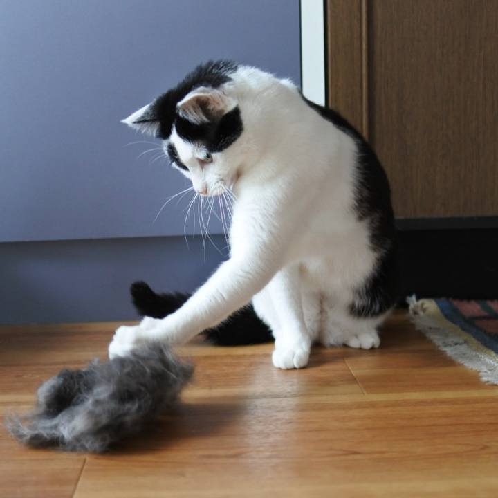 D6c16aef 4cff 4a82 a891 840a58f4443b 1526522995969