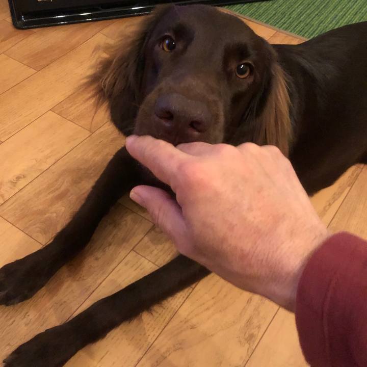 D6c1767e fbe8 4aeb 81d0 e2c17ef842ca 1576411768899