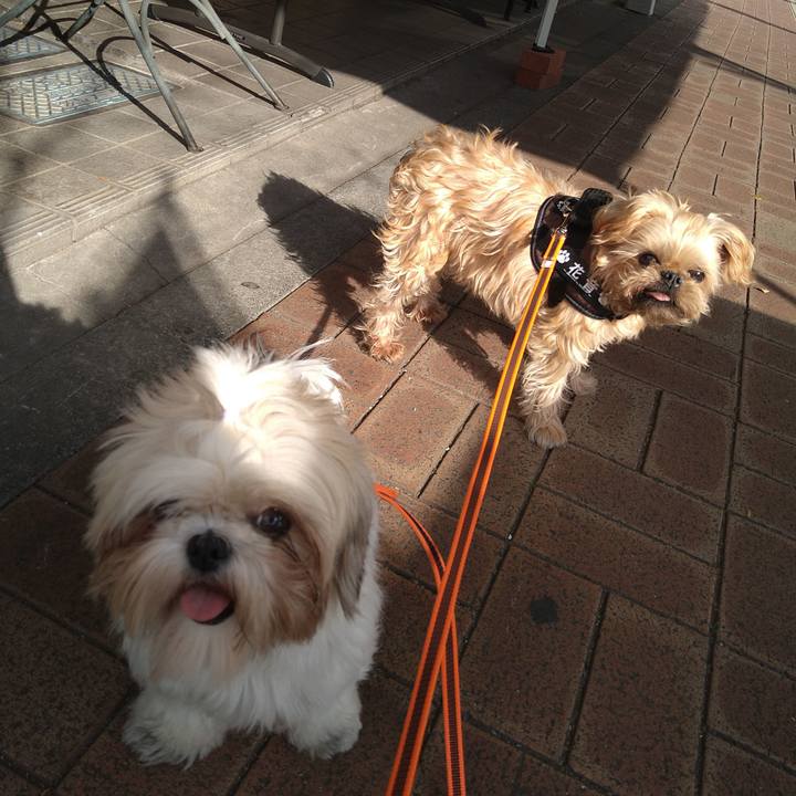 D6c1b9b2 2e1f 4430 928c 2ddaf7a1d440 1607662819613