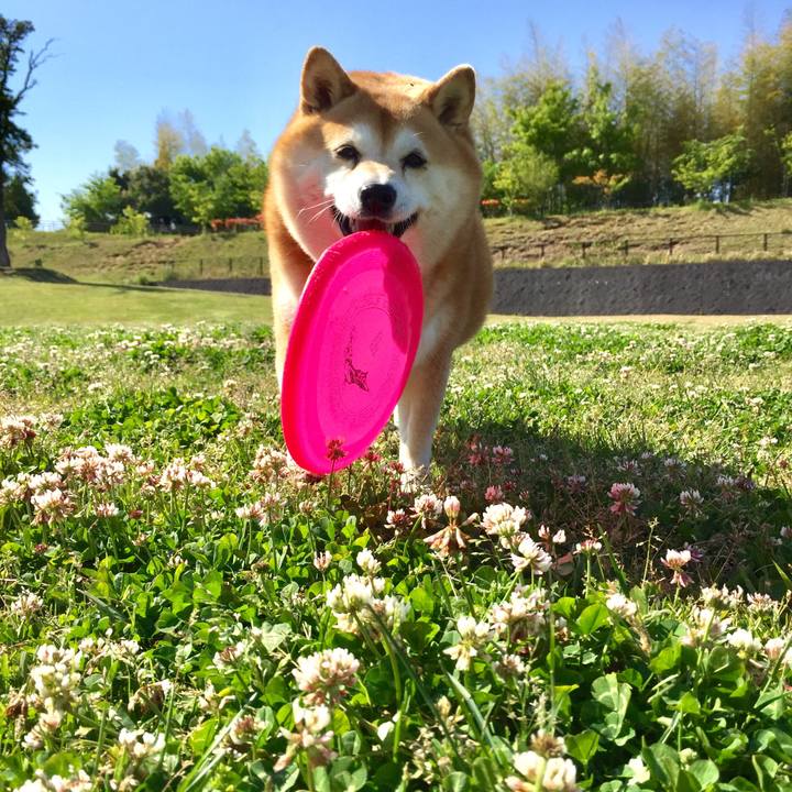 D6c1bfd5 b1c0 4d4c b028 678a5409da67 1623553813141