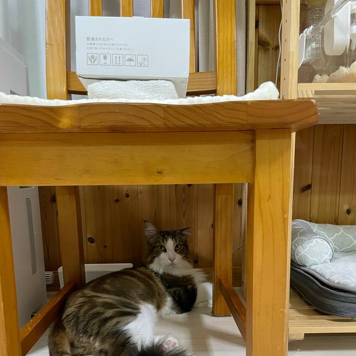 D6c1dd79 c8ca 4c98 b179 1cba1de5f931 1661853026204