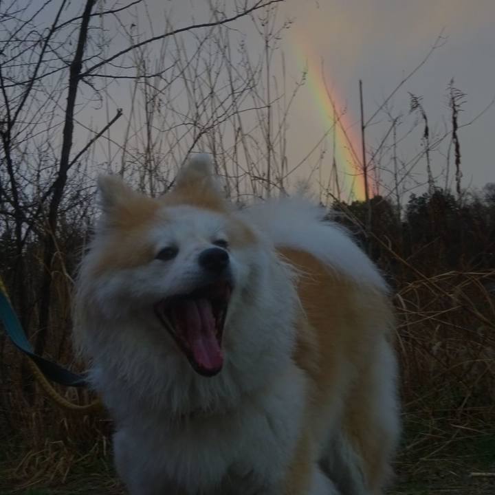 D6c1e1e9 0905 456d bd75 87681177341a 1615648482488