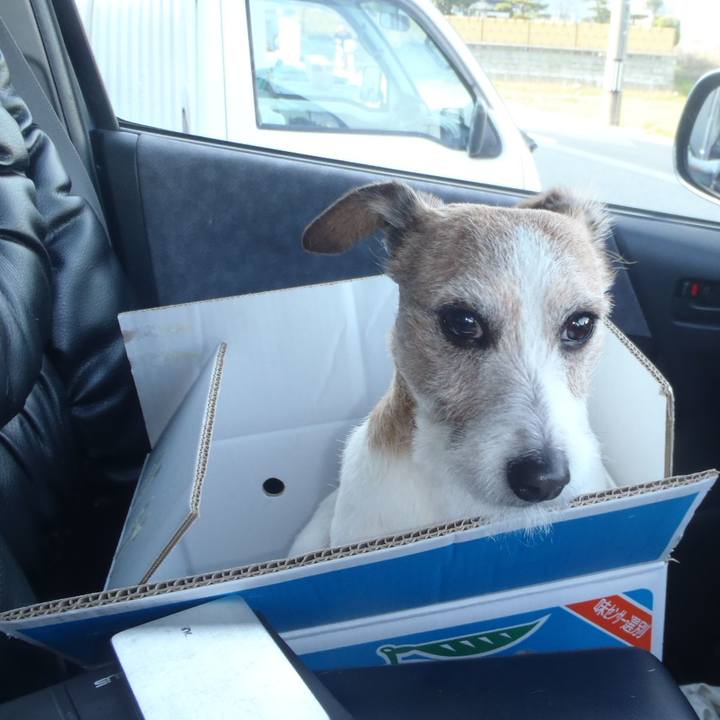 D6c21524 333a 46f0 a708 384ba6d78b81 1522488657276