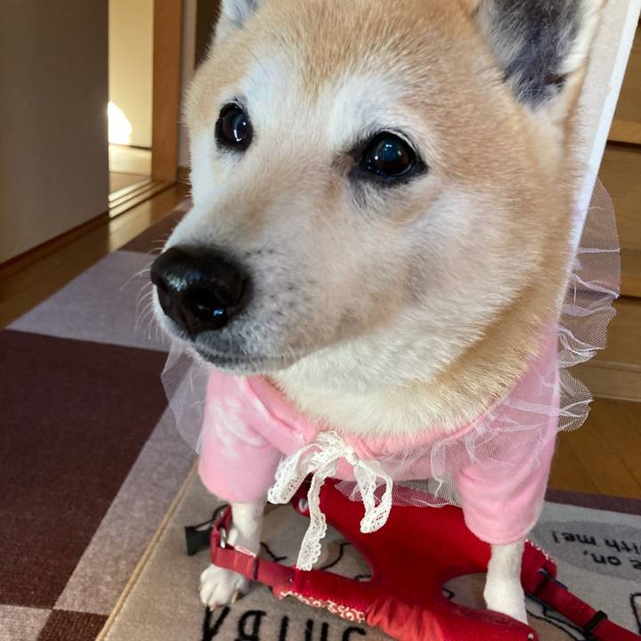 D6c22039 d070 4de0 b56c df81144766e4 1639617453291