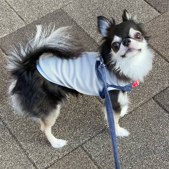 D6c24147 b54c 4394 aa1c a8d829381ee2 1691332604603