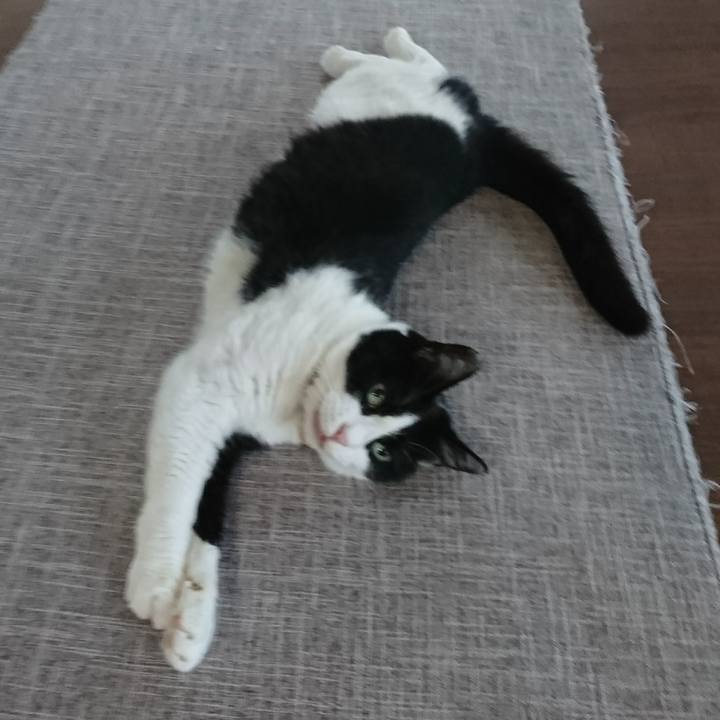 D6c25f09 403d 46d4 a87c 541dea24d7b4 1597048357058