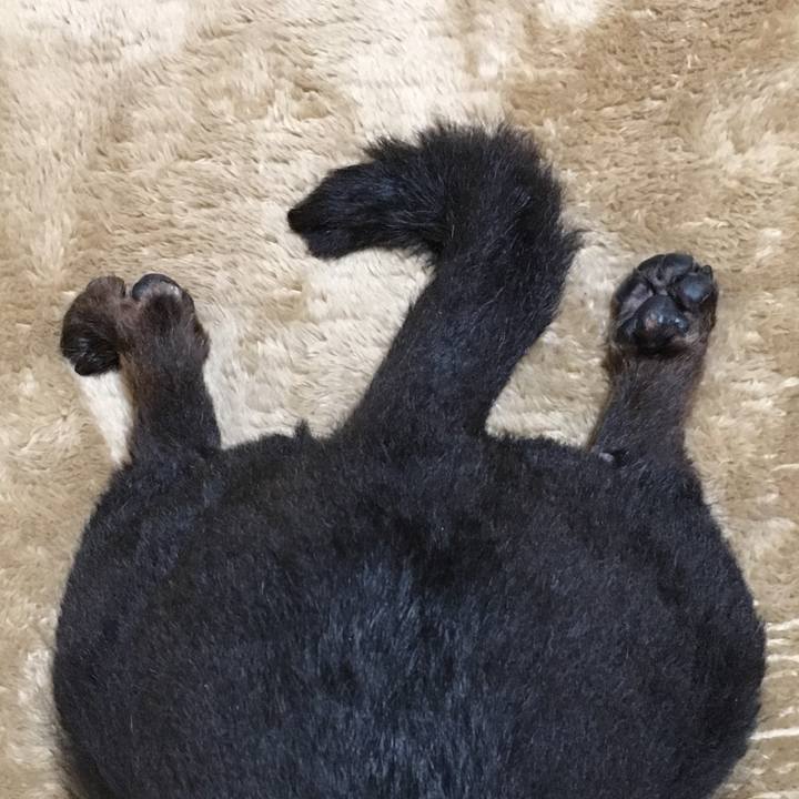 D6c26437 aaab 4dc2 917c 44733375a46a 1691726321913