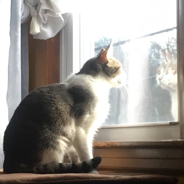 D6c268f2 1018 4998 a83a 7ea08a3aa71c 1632961840049