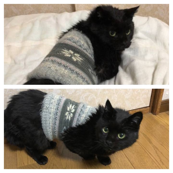 D6c26b78 fa15 4c5f 884b bb1dc6b5ccd9 1634980343545