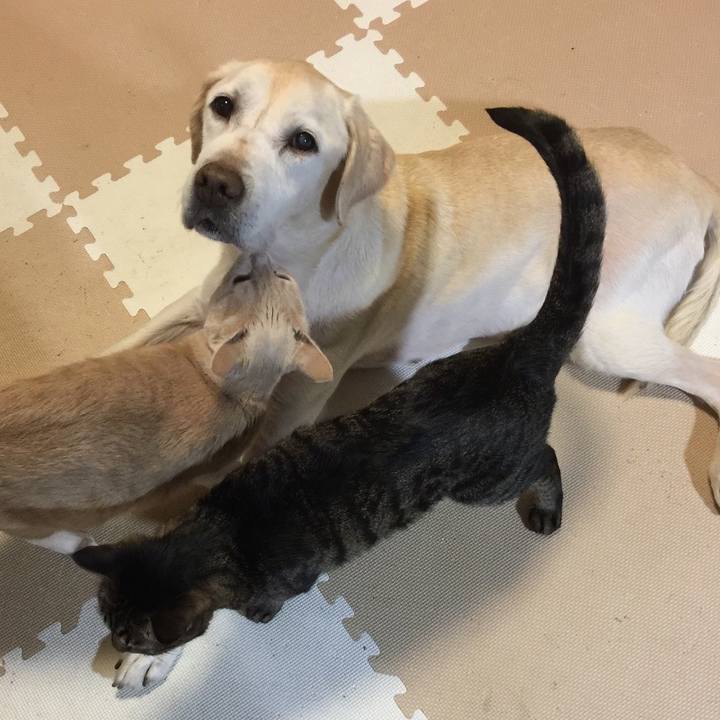 D6c26cd6 3312 4bf9 9113 d594a8c1b78c 1511441342695