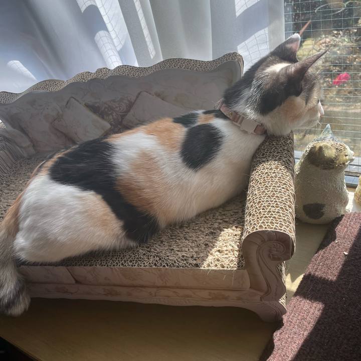 D6c27976 b8ee 4ae9 91d5 6ae1ef924c89 1680052310070