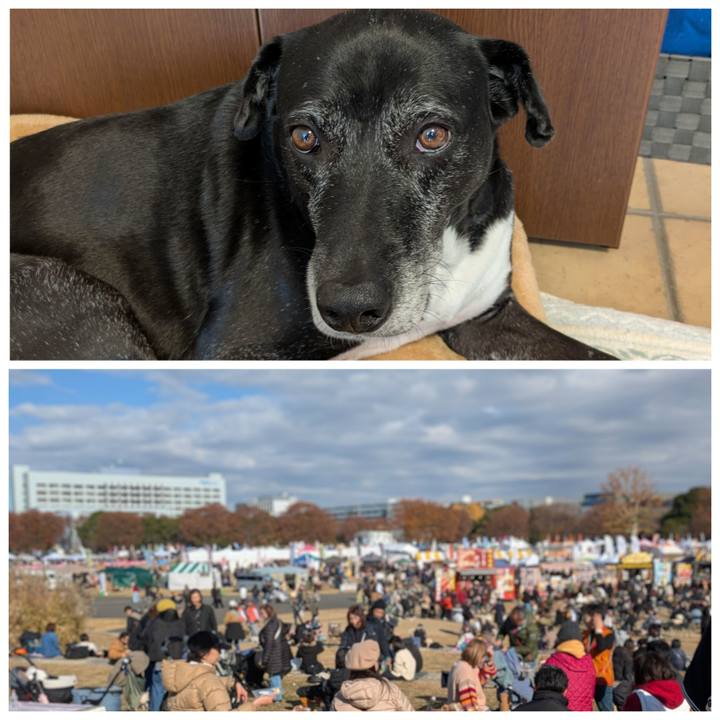 D6c286bb 61dc 4a77 b7ea 7c2374a15fa7 1764992471434