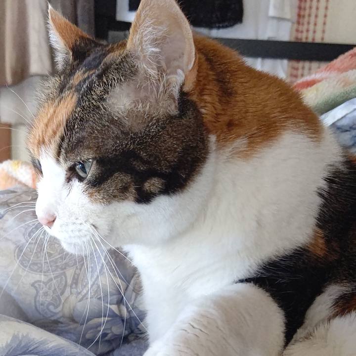 D6c29f60 6a61 4f97 813f c76b29fe4639 1645488684701