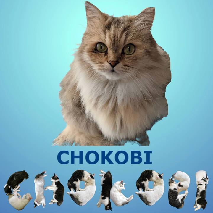 D6c2ad82 c387 4ba8 a8ea 415033a1a112 1669125385281