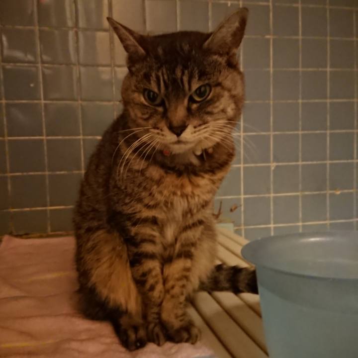 D6c2dfa4 238a 47f8 8c0b 264fd1028c4b 1578820616843