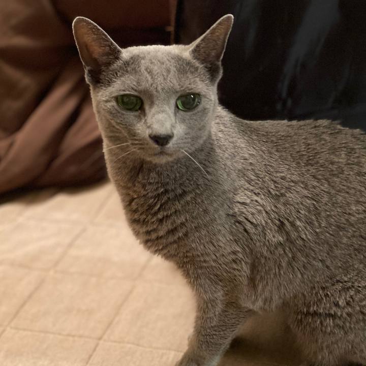 D6c2ff50 af37 47ed b676 ff0999f96057 1582096002949