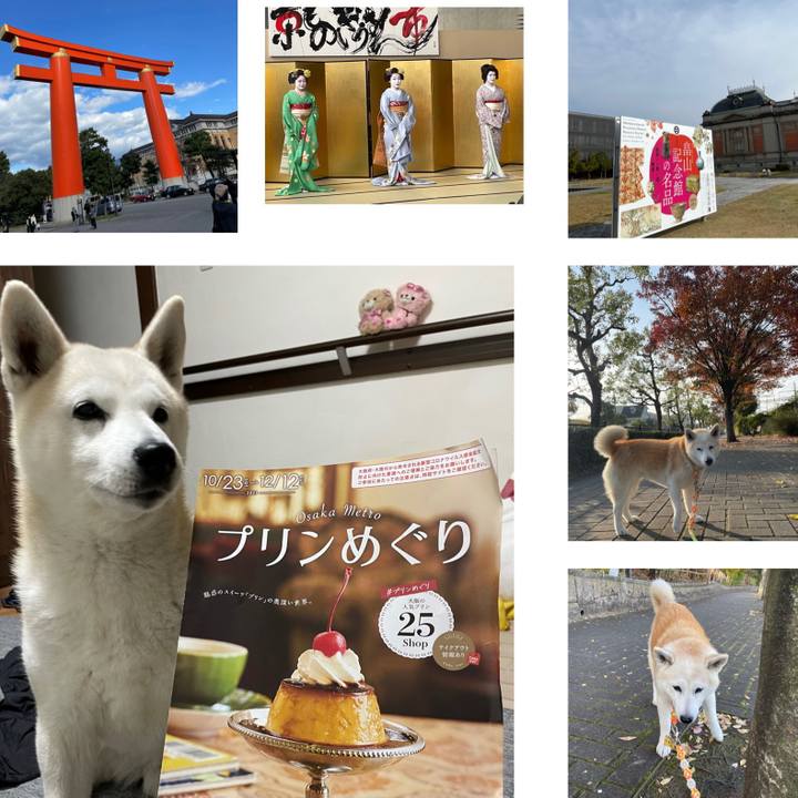 D6c30bb5 5856 4698 b6be 68f41aeaa0e5 1637478277401