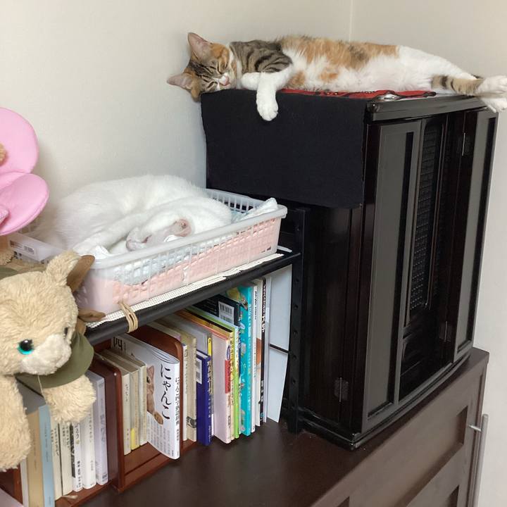 D6c30d0e 4158 4b1a b05e c1e2df131652 1660603963741