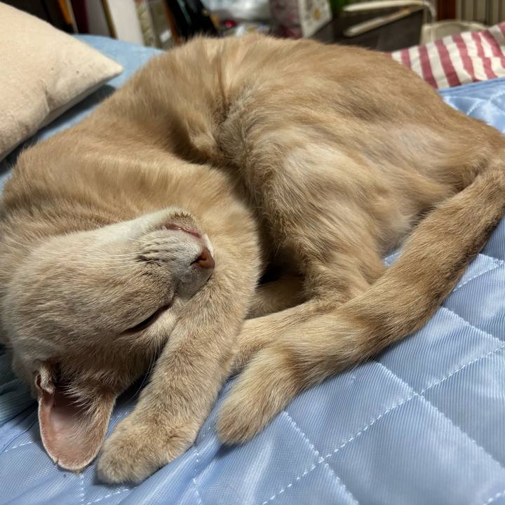 D6c3105b 797b 4d35 9434 d9831fa14d06 1755475163572