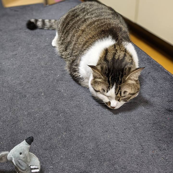 D6c312fd 19d2 4b91 ada1 bfa4b18cff03 1669123276821